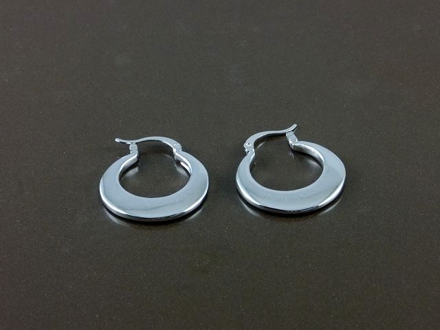 tiffany Earrings-022
